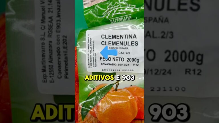 Guía para Comprar Productos de Limpieza Ecológicos en Nules