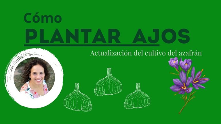 Actividades Familiares en Almassora: Diversi&oacute;n para Todos