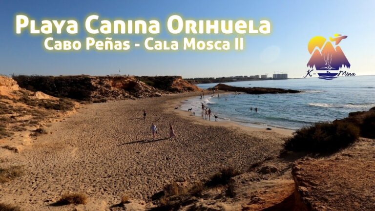Playas para Perros Cerca de Moncofa: Guía Completa